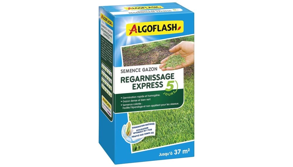 Algoflash 5 Day Express Refilling Grass Seed - 800 g : Test